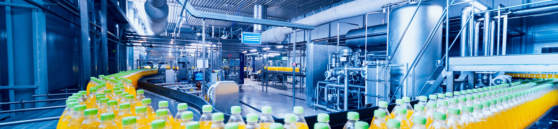 1685163650Food Processing 1.webp